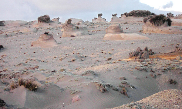 Much of the land that used to grow crops has been sterilized or dried out by excessive use. 