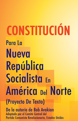 Constitucion Socialista