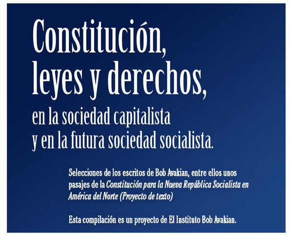 Constitución, leyes y derechos