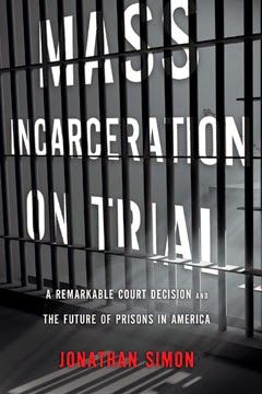 Mass Incarceration on Trial