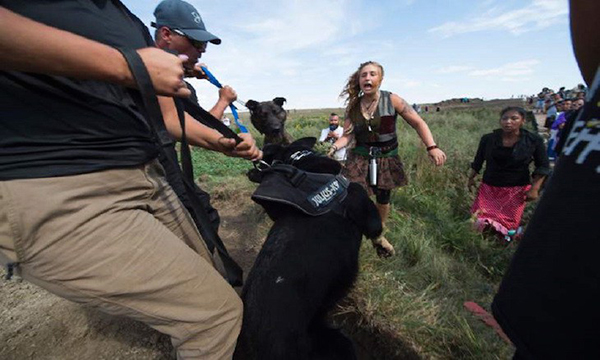 Standing Rock protest