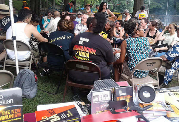 Discussion group at NYC picnic.