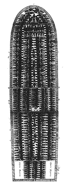 slavshi.gif (11080 bytes)