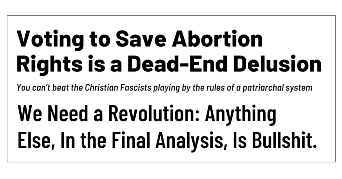 Voting to Save Abortion Rights is a Dead-End Delusion