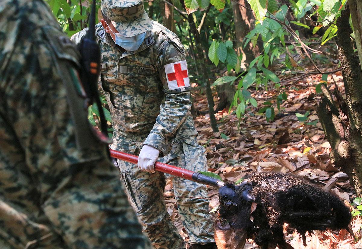 the body of a howler monkey that died amid extremely high temperatures in Tecolutilla, Tabasco state, Mexico, May 21, 2024.