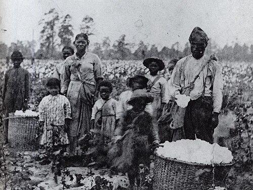 Slaves with the cotton they had picked. Georgia, c. 1850.