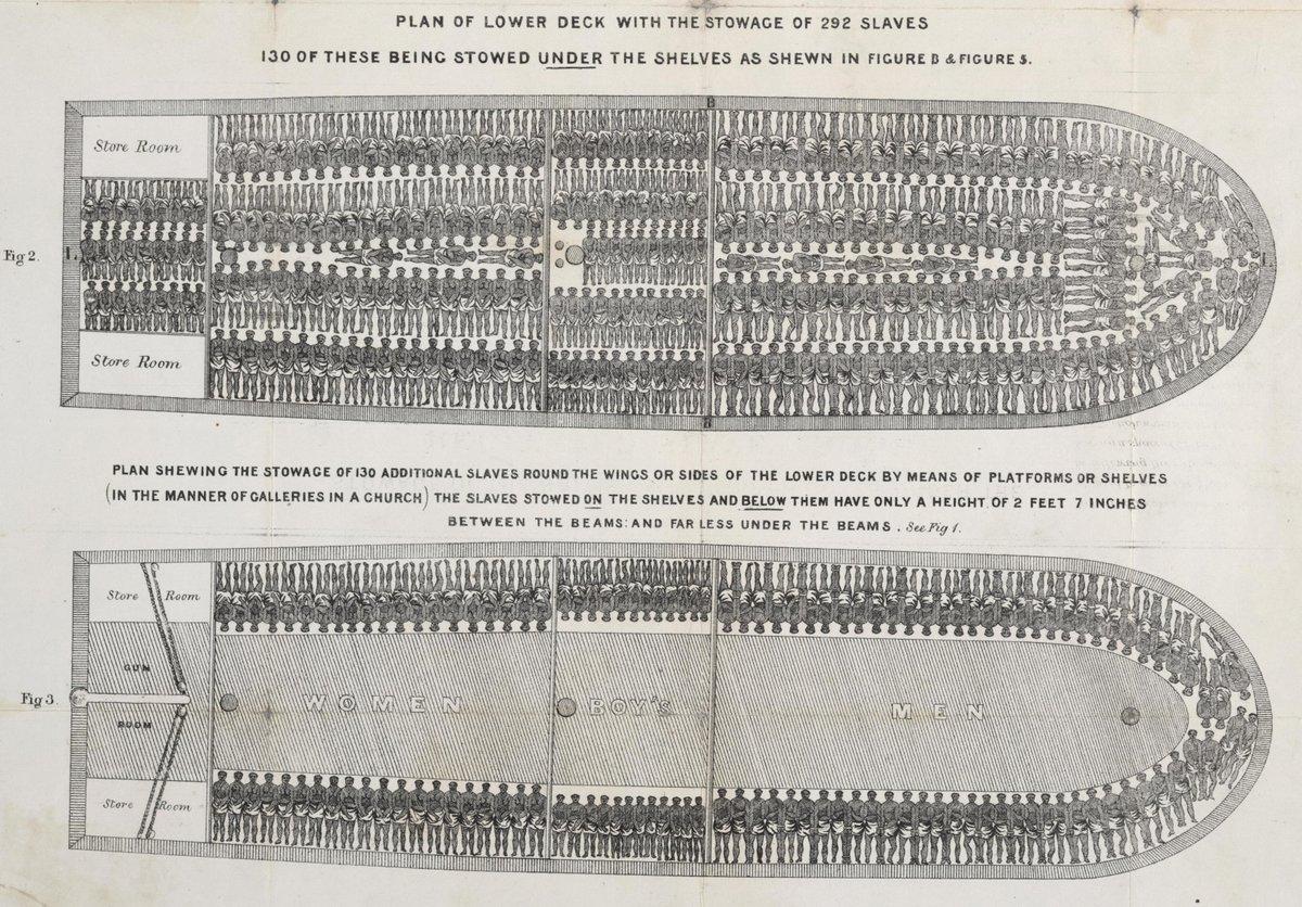 A slave ship showing typical arrangement of 292 slaves, 130 stowed under shelves (Figure 3).