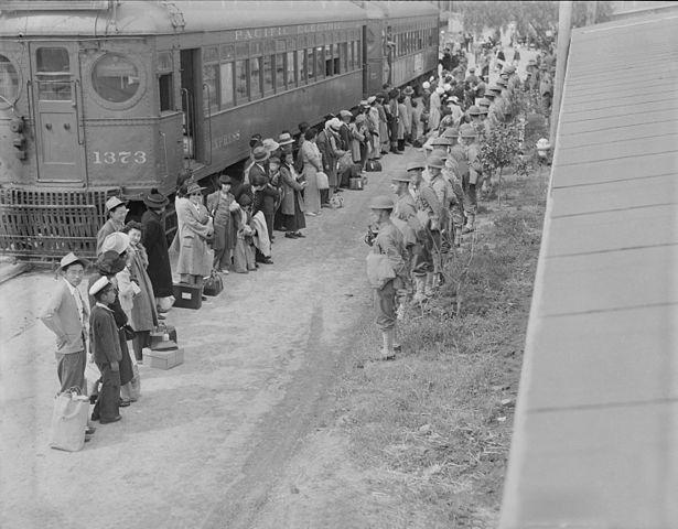 rounded-up-for-transport-1942.jpg