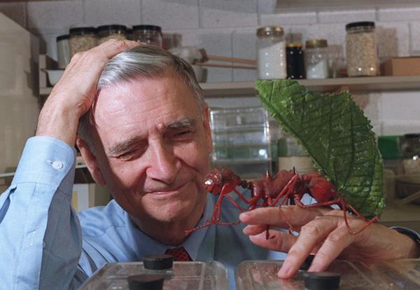E. O. Wilson with a model of an ant