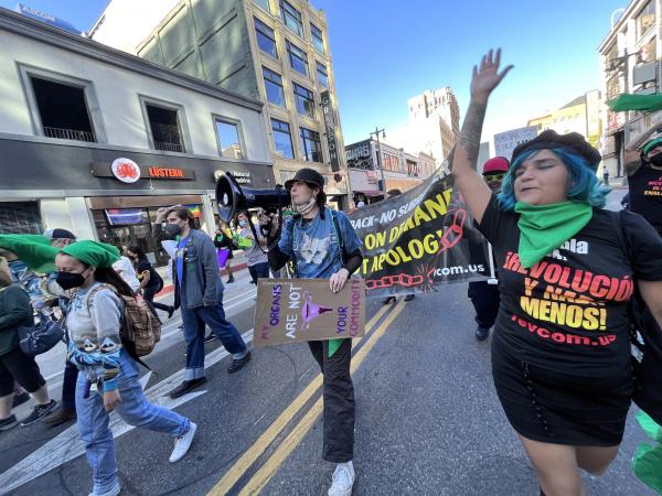 March in Los Angeles on IWD with T-shirt Forced Motherhood is Female Enslavement.