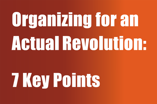 Organizing for an Actual Revolution:  7 Key Points - Teaser