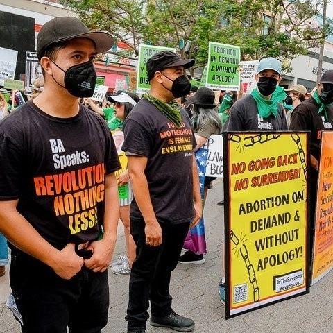 Santa Monica RU4AR Revcoms at protest.