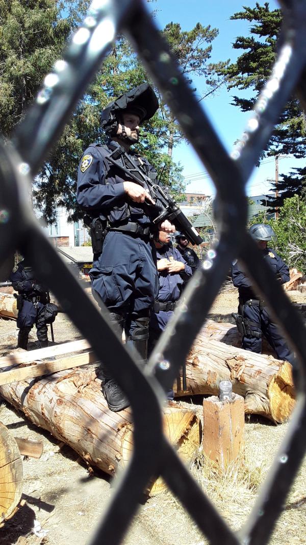 Peoples' Park, cop on a tree