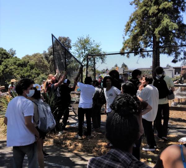 Peoples' Park the fence comes down