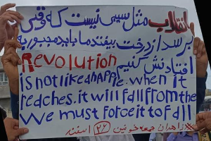 “Revolution is not like an apple that falls from the tree when it is ripe, we have to force it to fall.”