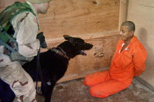 Prisoner tortured with a dog at Abu Ghraib, Iraq, May 21, 2003.