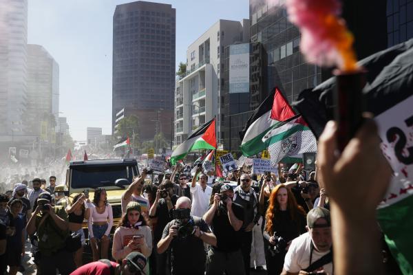 Crowd at pro-Palestine rally