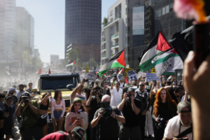 Huge crowd of pro-Palestinian marchers