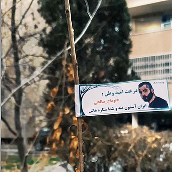 In an Instagram video, rows of trees were planted by supporters of Toomaj, with demands for his freedom attached.