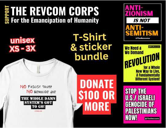 Fundraising t-shirt and sticker bundle