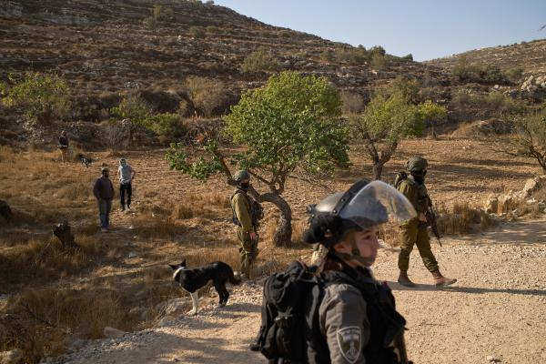 Israeli settlers block Palestinians from entering to harvest their olive trees in Sa'ir, near Hebron, West Bank, October 23, 2025.