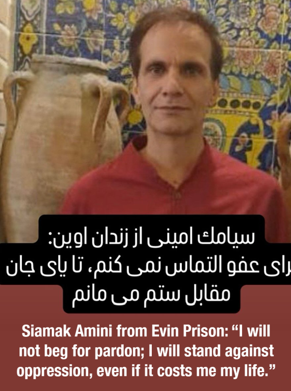 Graphic of Siamak Amini