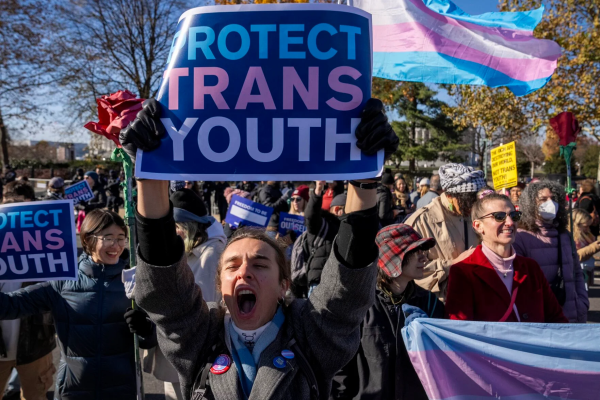 Supporters of trans rights rally by Supreme Court, December 4, 2024.