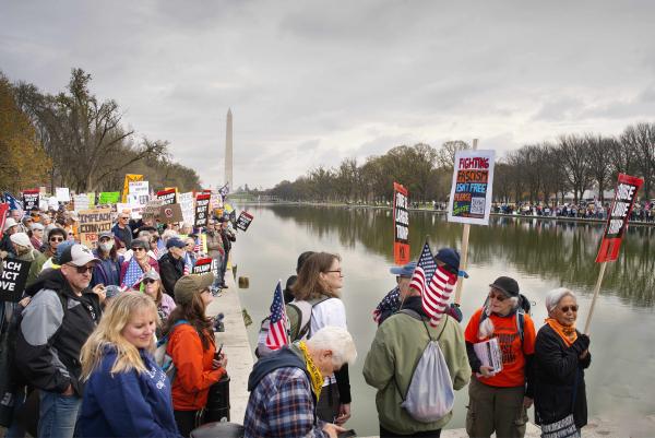 Protesters march along the Reflection Pool, November 22, 2025.