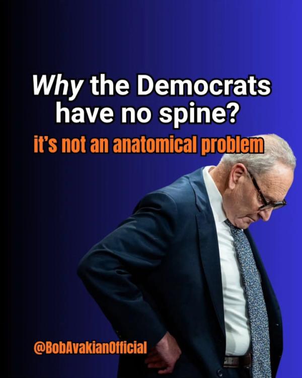 Why the Democrats have no spine...