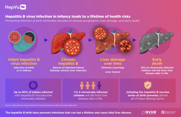 Hepatitis B virus infection in infancy leads to lifetime of risks.