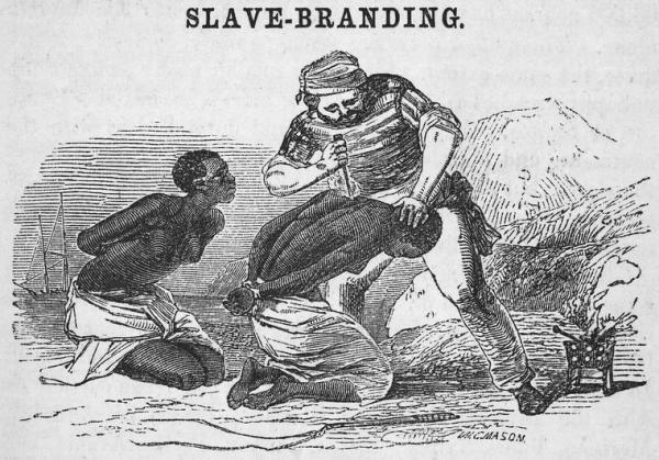 Slaves being branded, 1853.
