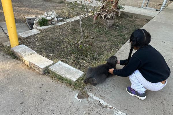 Immigrant girl at Holding Institute, a shelter in Laredo, Texas, February 26, 2026.