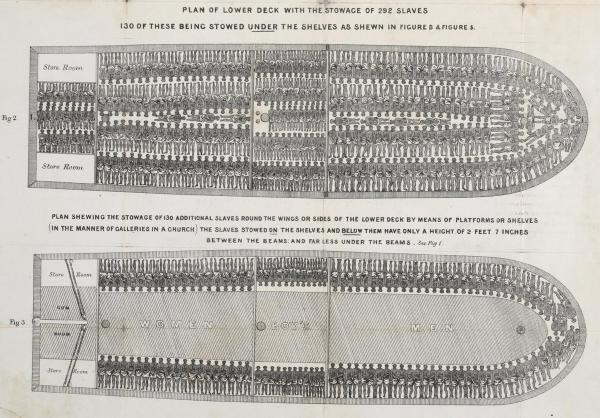 A slave ship showing typical arrangement of 292 slaves, 130 stowed under shelves (Figure 3).