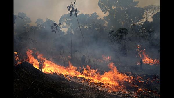 Brazil-fire-Aug2019-AP_19238768611864-x800.jpg