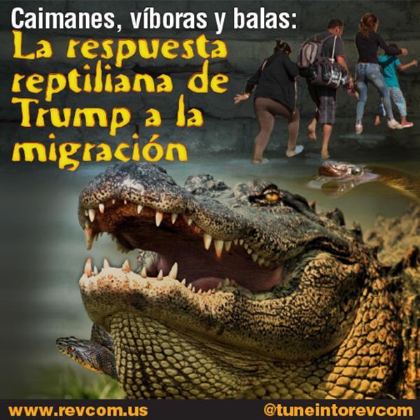 617-Alligators-Snakes-Bullets-es.jpg
