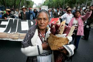 Mexico-protest-2008-AP_080102023845.jpg