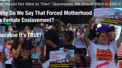 Signs say "Forced Motherhood is Female Enslavement" at protest in Times Square