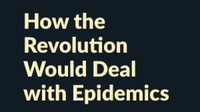 We Need a Whole Different World  How the Revolution Would Deal with Epidemics