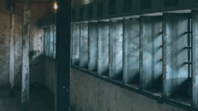 Are We Prison Abolitionists? 