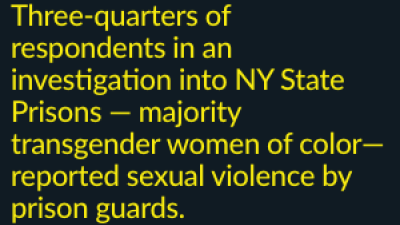 Three-quarters of respondents in an investigation into NY State Prisons — majority transgender women of color— reported sexual violence by prison guards.