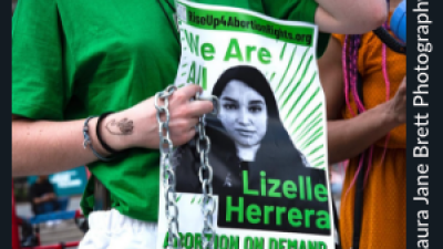 Protest sign: We are All Lizelle Herrera