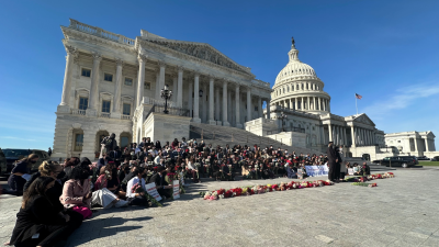 On November 8, over 100 Congressional staffers—masked to conceal their identities—walked out of their jobs and protested on the steps of the Capitol building.
