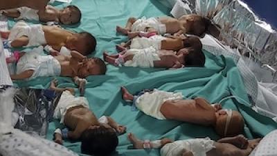 Babies in incubator
