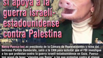 838 pig-losi meme square spanish