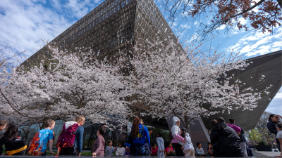 The Whitewashing of the American Brain