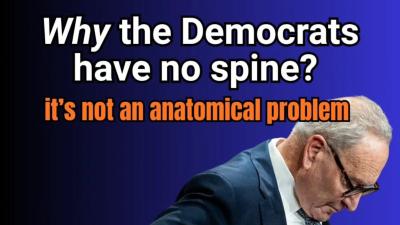 Everybody talks about how the democrats have no spine...