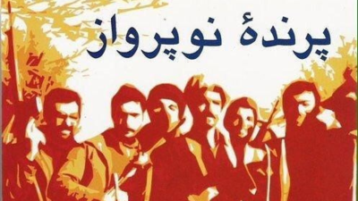 Sarbedaran fighters, 1981-82