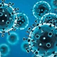 Omicron variant representational image from WHO.