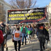 Revolution Club in Washington DC protesting for abortion rights.