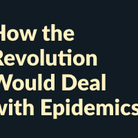 We Need a Whole Different World  How the Revolution Would Deal with Epidemics